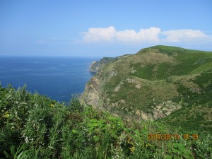 IMG_0409