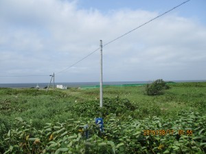 IMG_0458