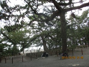 IMG_0642