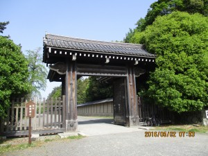 IMG_0932