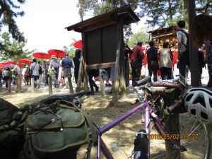 IMG_0952