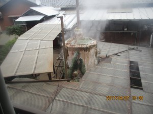 IMG_1181