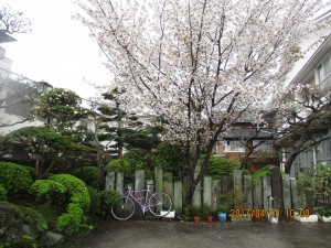 IMG_1185