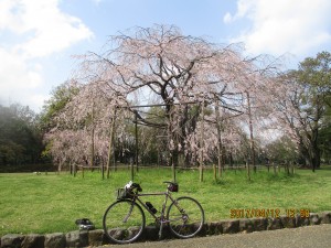 IMG_1227